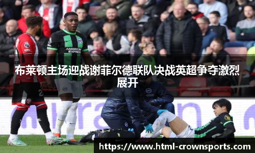 布莱顿主场迎战谢菲尔德联队决战英超争夺激烈展开